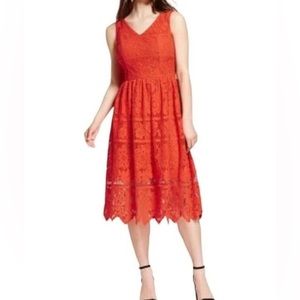 Sleeveless Lace Dress